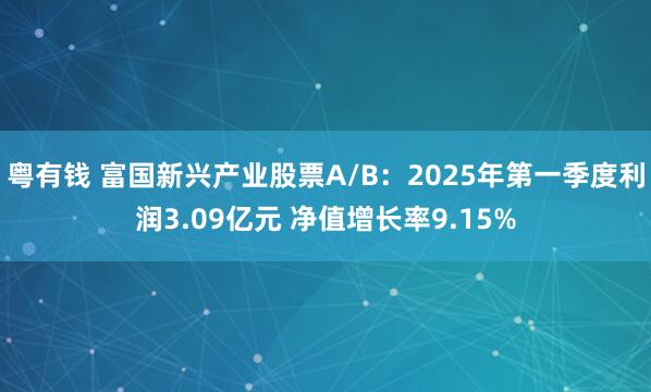 粤有钱 富国新兴产业股票A/B：2025年第一季度利润3.09亿元 净值增长率9.15%