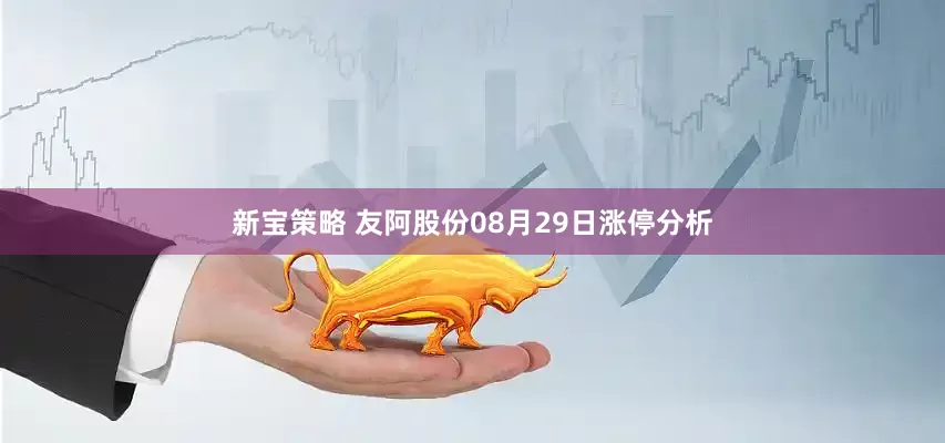新宝策略 友阿股份08月29日涨停分析